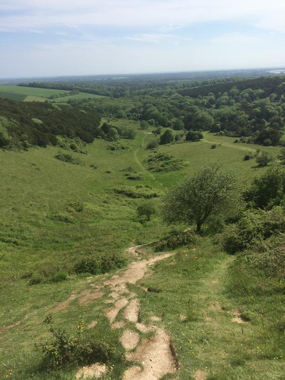 Shepherds Barn West Dean Экстерьер фото